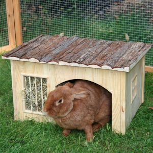 Nature Plus Small Rabbit House With Hay Rack