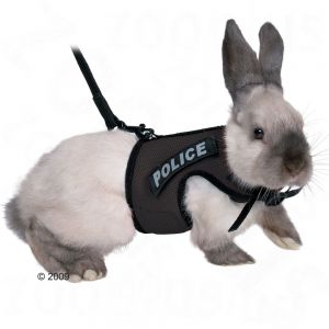 Trixie Rabbit Harness & Lead XBunny